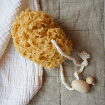 Natural Bath Sponge -  Beechwood duckling