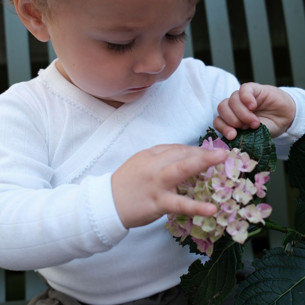 Tothemoon ☾ - Cross-over body - Long sleeve - Organic cotton - Pointelle
