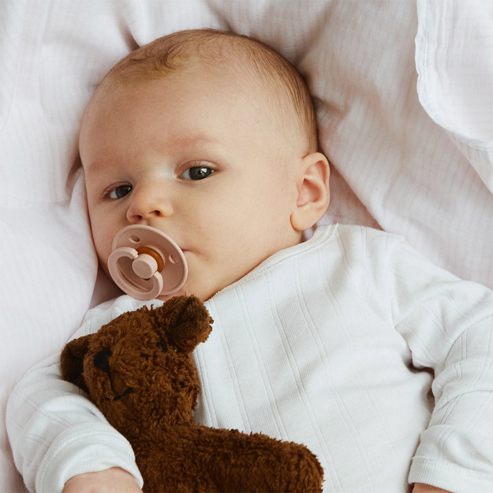 BIBS Pacifier Size 1 More colors Zoen voor Gust