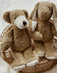 Cuddly bear - cotton - vegan - knuffelbeer - Zoenvoorgust.com
