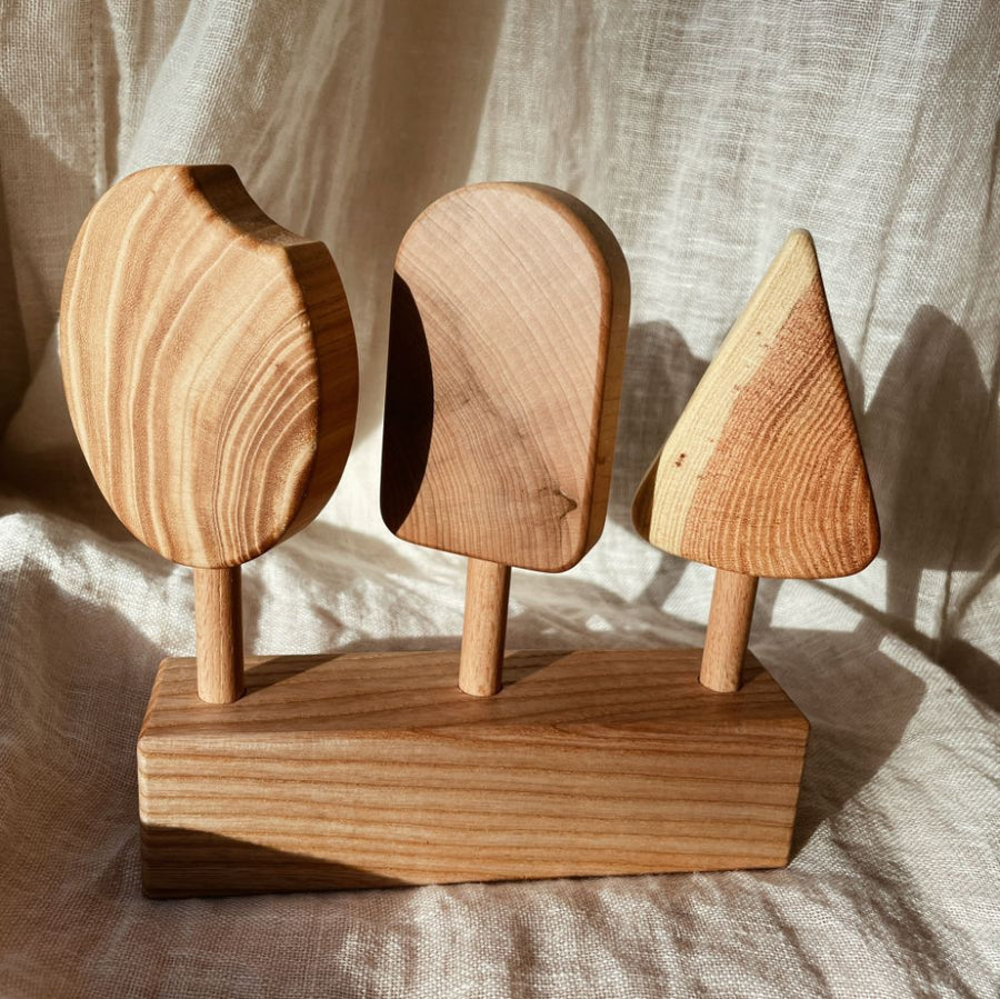 Wooden ice creams - With holder - Handmade